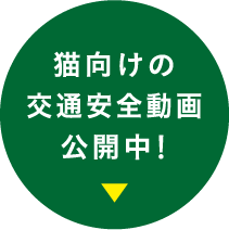 �L�����̌�ʈ��S������J���I