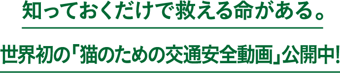 �m���Ă��������ŋ~���閽������B���E���́u�L�̂��߂̌�ʈ��S����v���J���I